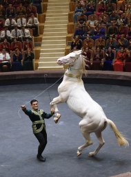 Premiere of the circus performance 