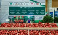 Fotoröportaj: Agro Pack Türkmenistan ve Türkmen Gıda Fuarı Aşkabat'ta başladı