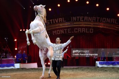 Turkmen equestrian group “Galkynysh” took gold at the circus festival in Monte Carlo