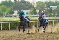 Spring racing season starts in Turkmenistan