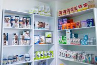 Dostlukly Zähmet Pharmacy: health and beauty products with delivery in Ashgabat