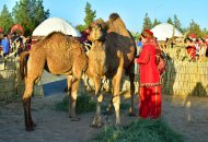 Photo story: Harvest Festival celebrated in Turkmenistan