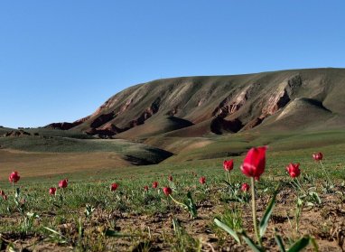 Ученый раскрыла перспективы развития школьного туризма в Туркменистане