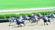 Photo report: Turkmenistan celebrates the National Horse of Turkmenistan on a grand scale