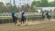 Spring racing season starts in Turkmenistan