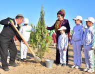 Photoreport: National tree celebrations held in Turkmenistan