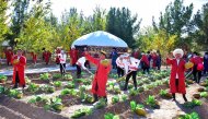 Photo story: Harvest Festival celebrated in Turkmenistan