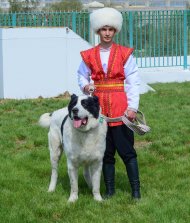 Фоторепортаж с международного конкурса «Отважный туркменский алабай года», прошедшего в Ахалском велаяте 