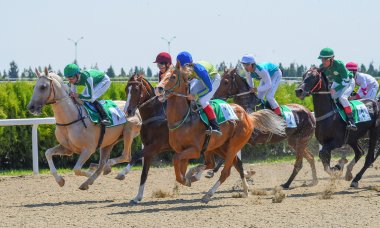 Photo report: Turkmenistan celebrates the National Horse of Turkmenistan on a grand scale