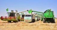 Photoreport: Grain harvesting began in Akhal, Lebap and Mary velayats