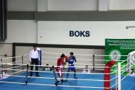 Photo report: Turkmenistan Boxing Cup 2019