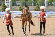 The second round of the international beauty contest of Akhal-Teke horses took place in Ashgabat