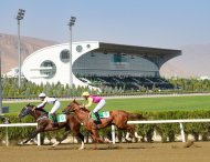 Festive races were held in Turkmenistan