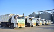 Photoreport: Grain harvesting began in Akhal, Lebap and Mary velayats