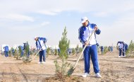 Fotoreportaž: Türkmenistanda bag ekmek çäresi geçirildi