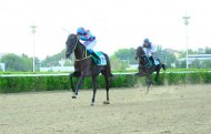 Photo report: Autumn horse racing season begins in Turkmenistan