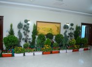 An exhibition dedicated to the beauty of the nature of the Caspian Sea was held in Ashgabat