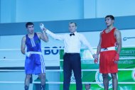 Photo report: Turkmenistan Boxing Cup 2019