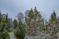 Winter continues in Ashgabat