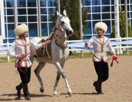 В Ашхабаде состоялся второй тур международного конкурса красоты ахалтекинских скакунов