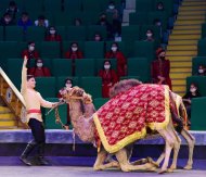 The State Circus of Turkmenistan hosted a performance in honor of the national holiday of the Turkmen horse