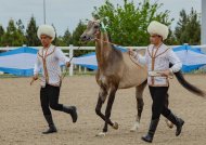 В Туркменистане прошел конкурс красоты ахалтекинского скакуна