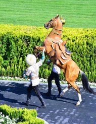 Photo report: Turkmenistan celebrates the National Horse of Turkmenistan on a grand scale