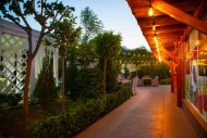 Altyn Paradise Garden: jadylaýjy tomusky agşamlar