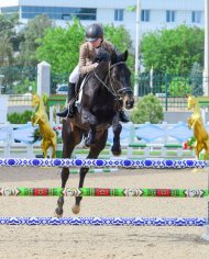 Фоторепортаж: в Ашхабаде прошли соревнования по конкуру