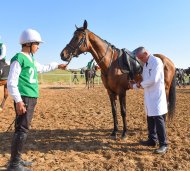 Fotoreportaž: Türkmen bedewiniň milli baýramy mynasybetli uzak aralyga atly ýöriş bäsleşigi geçirildi.