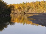 Гурбанназар Эзизов и туркменская весна.