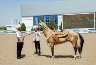 The second round of the international beauty contest of Akhal-Teke horses took place in Ashgabat