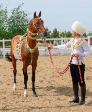 Фоторепортаж с международного конкурса красоты по случаю национального дня туркменского скакуна