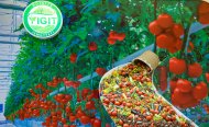 Фоторепортаж: В Ашхабаде открылась выставка Agro Pack Turkmenistan & Turkmen Food 