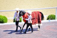 Photo report: Turkmenistan celebrates the National Horse of Turkmenistan on a grand scale