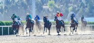 Celebratory horse races took place in Turkmenistan in honor of the 32nd anniversary of independence