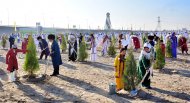 Photoreport: National tree celebrations held in Turkmenistan