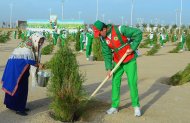 Photoreport: a nationwide tree planting campaign was held in Turkmenistan