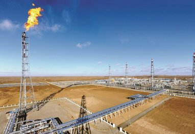 Turkmenistan approves list of environmentally hazardous activities
