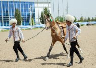 The second round of the international beauty contest of Akhal-Teke horses took place in Ashgabat