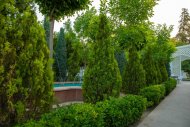 Summer terrace Altyn Paradise Garden awaits guests