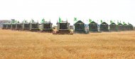 Photoreport: Grain harvesting began in Akhal, Lebap and Mary velayats