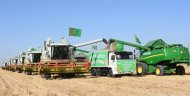 Photoreport: Grain harvesting began in Akhal, Lebap and Mary velayats