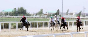 Daşoguzda ýazky at çapyşyk möwsüminiň nobatdaky tapgyry geçirildi
