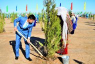 Фоторепортаж: В Туркменистане дан старт осенней озеленительной кампании