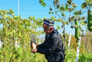 Туркменские фотокорреспонденты принимают участие в инфотуре «Коканд в объективе тюркских фотографов»