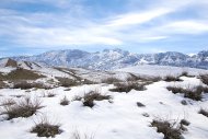 Фоторепортаж: Ашхабад покрылся белым снегом