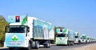 Photoreport: Mass picking of cotton begins in Turkmenistan