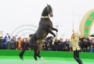 Фоторепортаж: В Туркменистане широко отметили Новруз