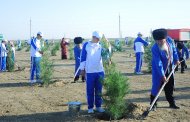 Photoreport: a nationwide tree planting campaign was held in Turkmenistan